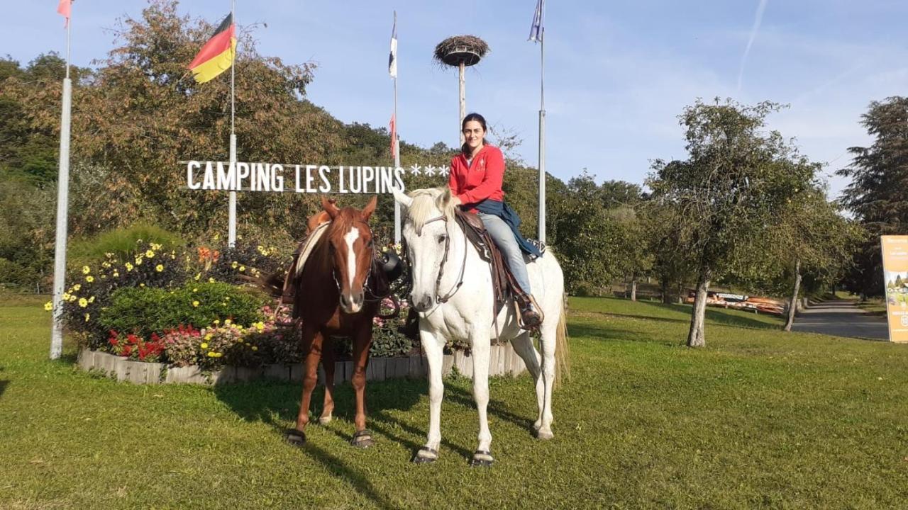 Camping Les Lupins Seppois-le-Bas Ngoại thất bức ảnh