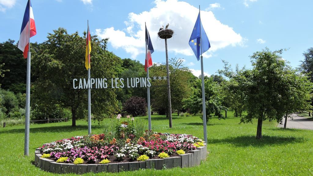 Camping Les Lupins Seppois-le-Bas Ngoại thất bức ảnh